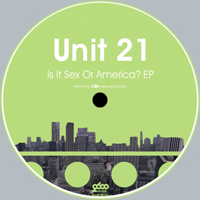 Unit 21 – Is It Sex Or America?