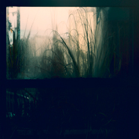 Stanislav Vdovin &ndash; Tangled Retreat